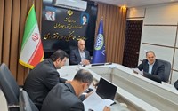  نان کامل در مسیر توسعه